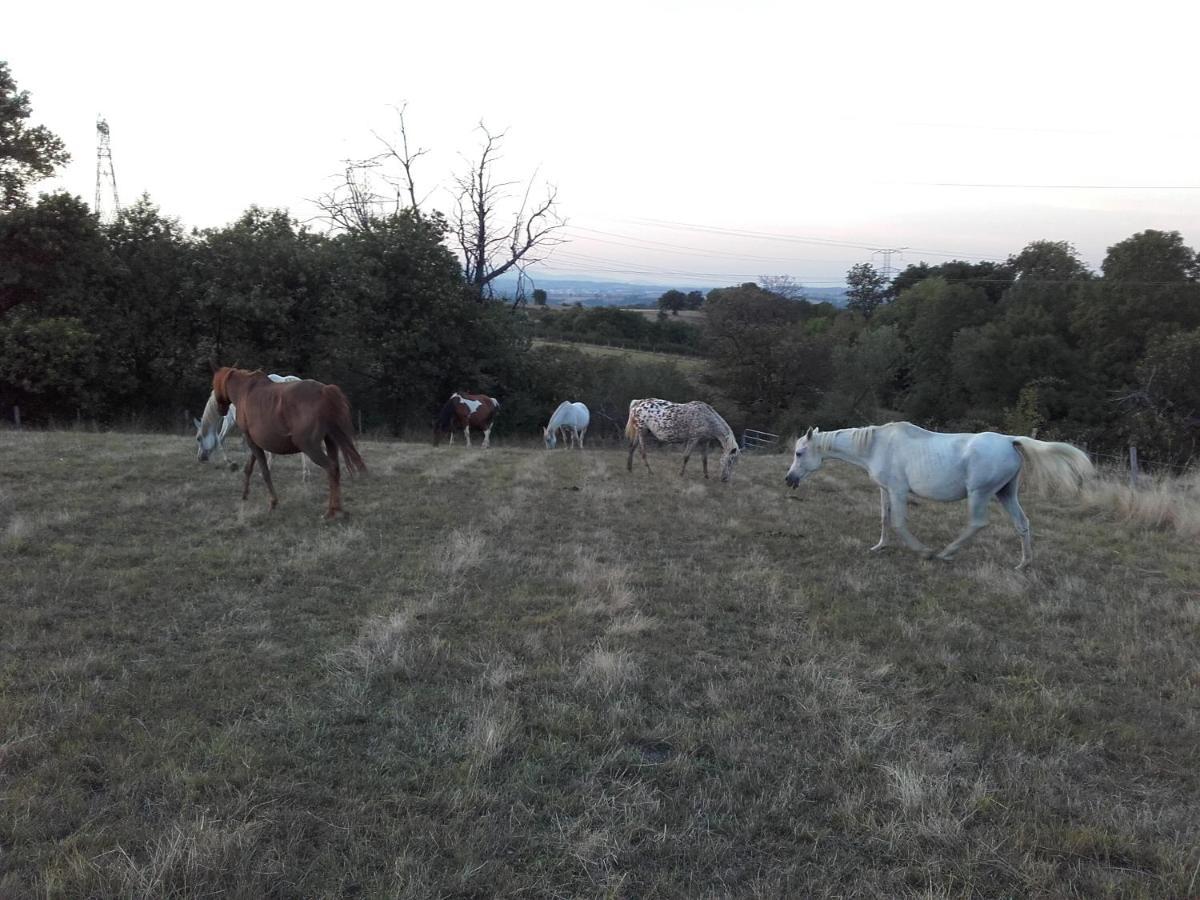 Gite De Prejeurin Echalas Zewnętrze zdjęcie