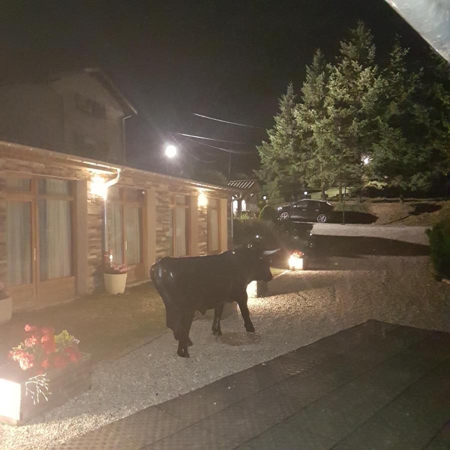 Gite De Prejeurin Echalas Zewnętrze zdjęcie